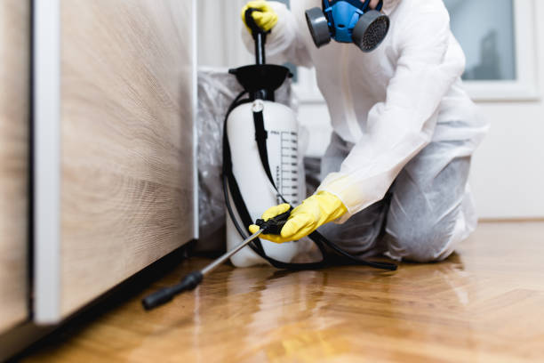 Best Pest Prevention Services  in Manana, HI