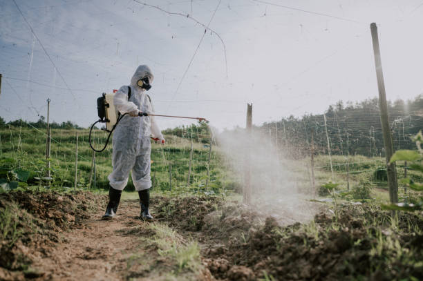 Best Commercial Pest Control Services  in Manana, HI