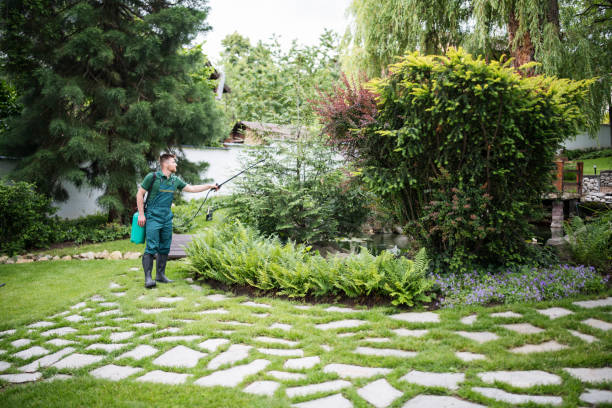 Best Affordable Pest Control Services  in Manana, HI